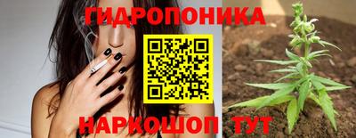 шишки Славянск-на-Кубани