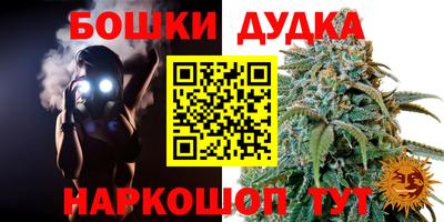шишки Славянск-на-Кубани