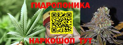 шишки Славянск-на-Кубани