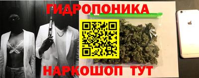 спайс Славгород
